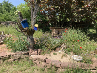 Vogelfreundlicher Garten als persönliches Schutzgebiet