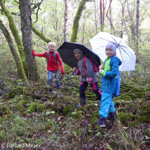 Picknick am Rosisnenwald